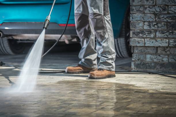 Best Sidewalk and Walkway Cleaning  in Lake Barrington, IL