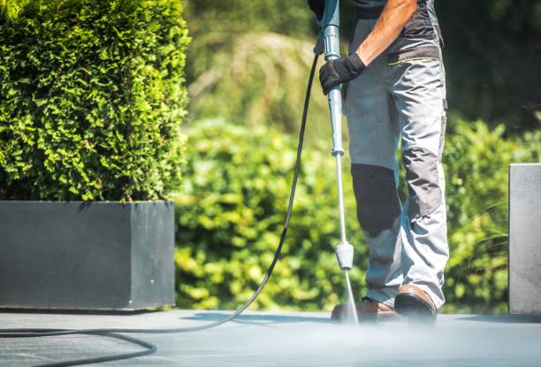 Best Driveway Pressure Washing  in Lake Barrington, IL