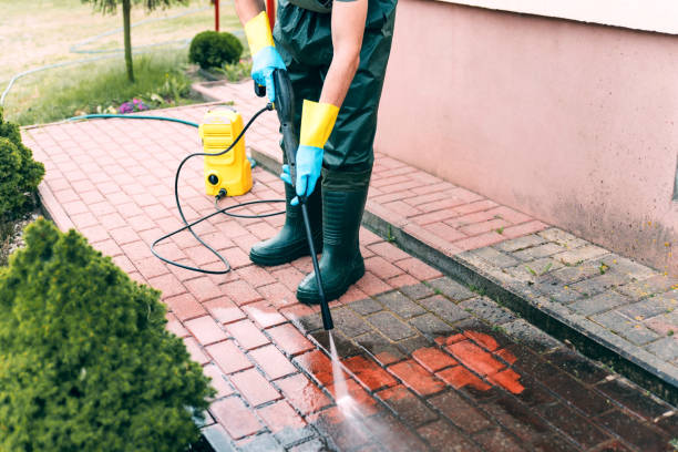 Best Solar Panel Cleaning  in Lake Barrington, IL